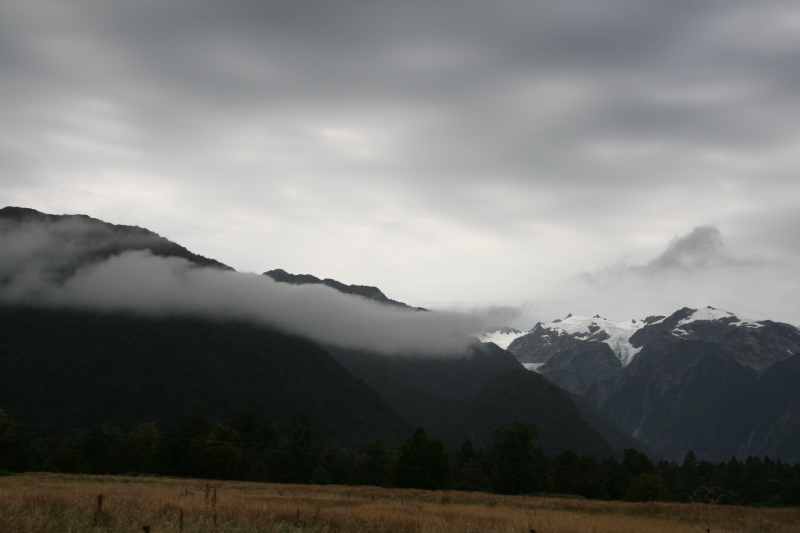 Nieuw-Zeeland 2011 - 1409